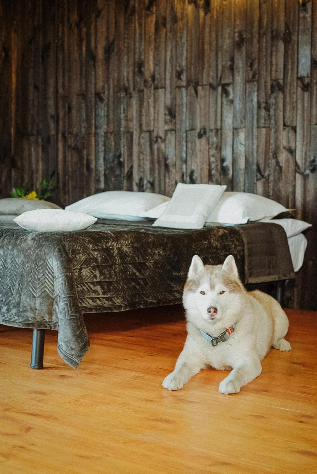 Hotel Долина Хюгге Chornomors'ke  Exterior foto